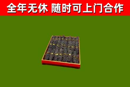 青浦回收海参